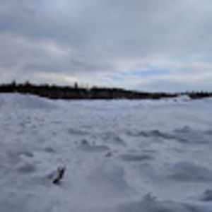 Meet your Posher, Devo